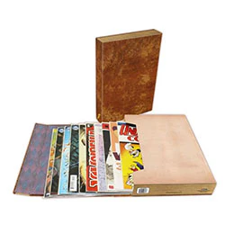 BCW COMIC BOOK STOR-FOLIO CARRYING CASE - Image 3